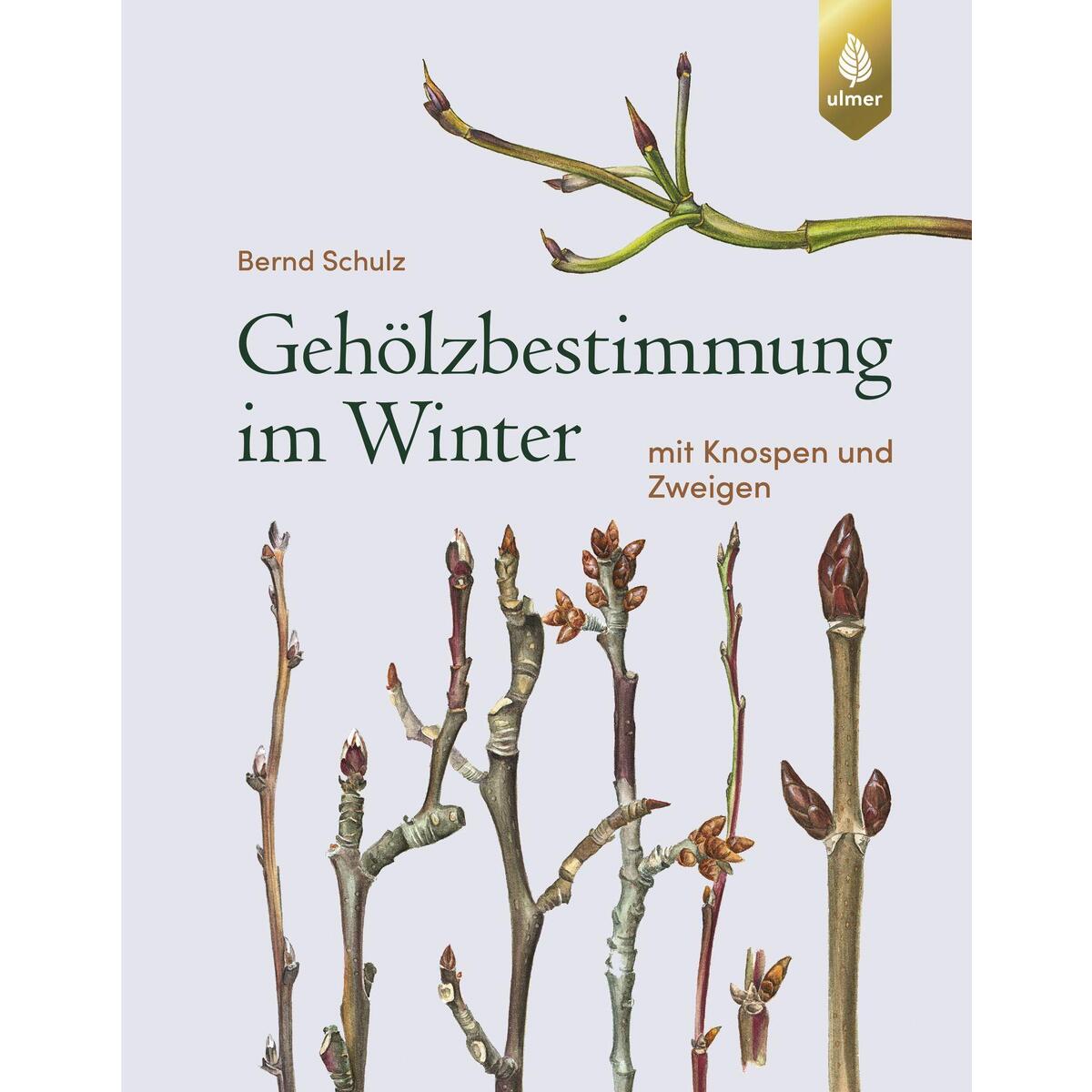 Bild von Schulz, Bernd: Gehölzbestimmung im Winter