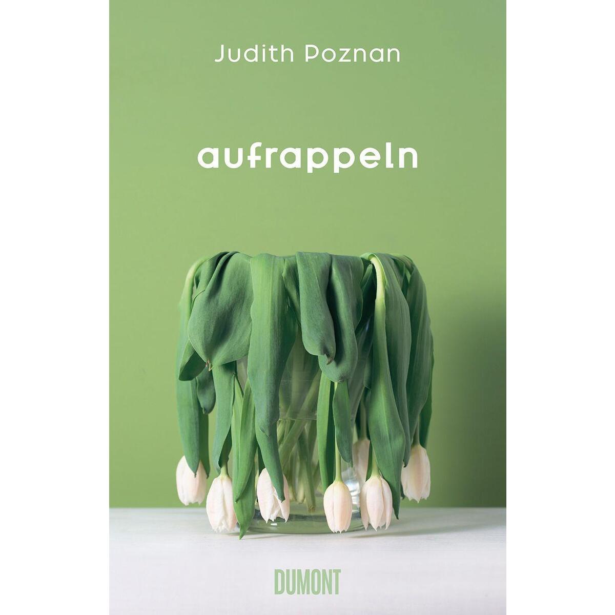 Bild von Aufrappeln, Belletristik von Judith Poznan