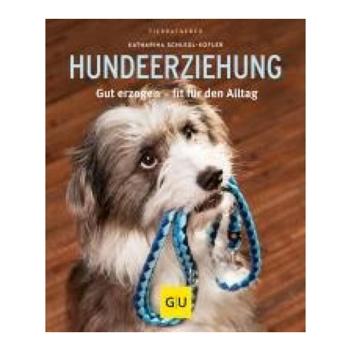 Bild von Hundeerziehung: Gut erzogen - fit für den Alltag
