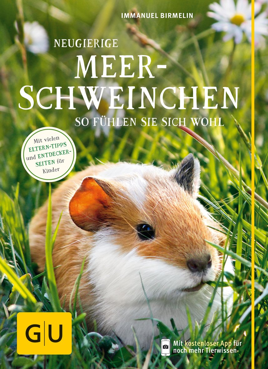 Bild von Neugierige Meerschweinchen: So fühlen sie sich wohl. Mit vielen Eltern-Tipps und Entdecker-Seiten für Kinder (GU Kleintiere)