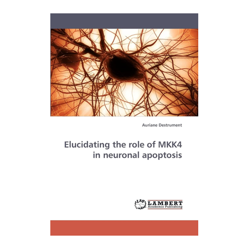 Bild von Elucidating the role of MKK4 in neuronal apoptosis