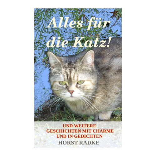 Bild von Alles für die Katz! – Geschichten mit Charme