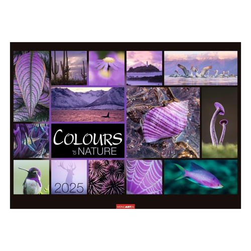 Bild von Kalender 2025 - Farben der Natur vom Weingarten Verlag