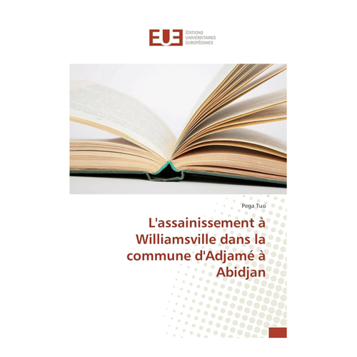Bild von Tuo, Pega: L'assainissement à Williamsville dans la commune d'Adjamé à Abidjan