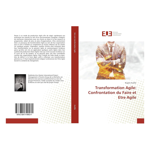 Bild von Transformation Agile: Confrontation du Faire et Etre Agile