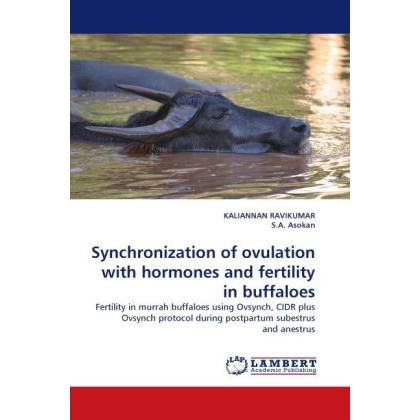 Bild von Synchronization of ovulation with hormones and fertility in buffaloes, Fachbücher von Kaliannan Ravikumar, S. A. Asokan