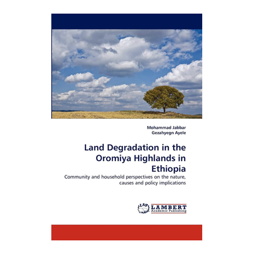 Bild von Land Degradation in the Oromiya Highlands in Ethiopia