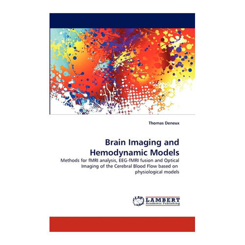 Bild von Brain Imaging and Hemodynamic Models von Thomas Deneux