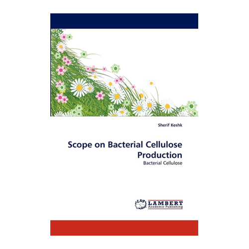 Bild von Scope on Bacterial Cellulose Production - Ein umfassender Leitfaden
