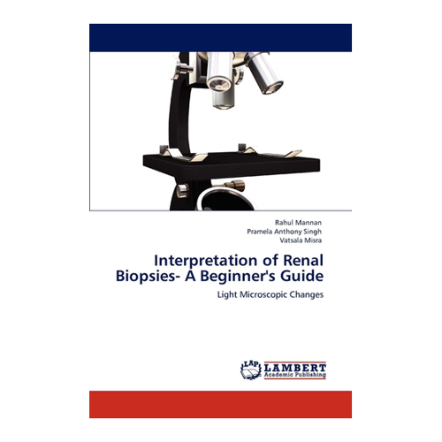 Bild von Interpretation of Renal Biopsies - A Beginner's Guide