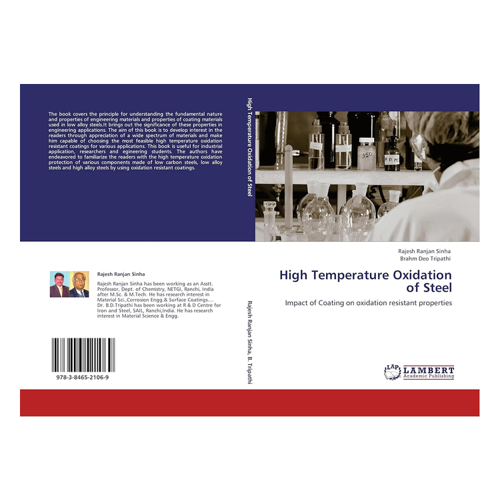 Bild von High Temperature Oxidation of Steel: Impact of Coating on Oxidation Resistant Properties