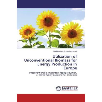 Bild von Hernández Boumová, Markéta: Utilization of Unconventional Biomass for Energy Production in Europe