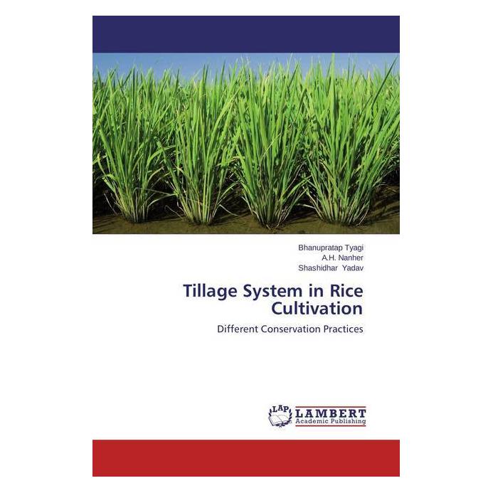 Bild von Tyagi, Bhanupratap: Tillage System in Rice Cultivation