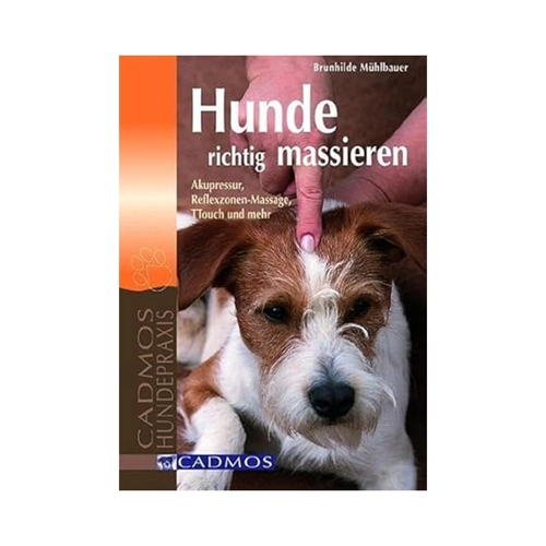 Bild von Hunde richtig massieren