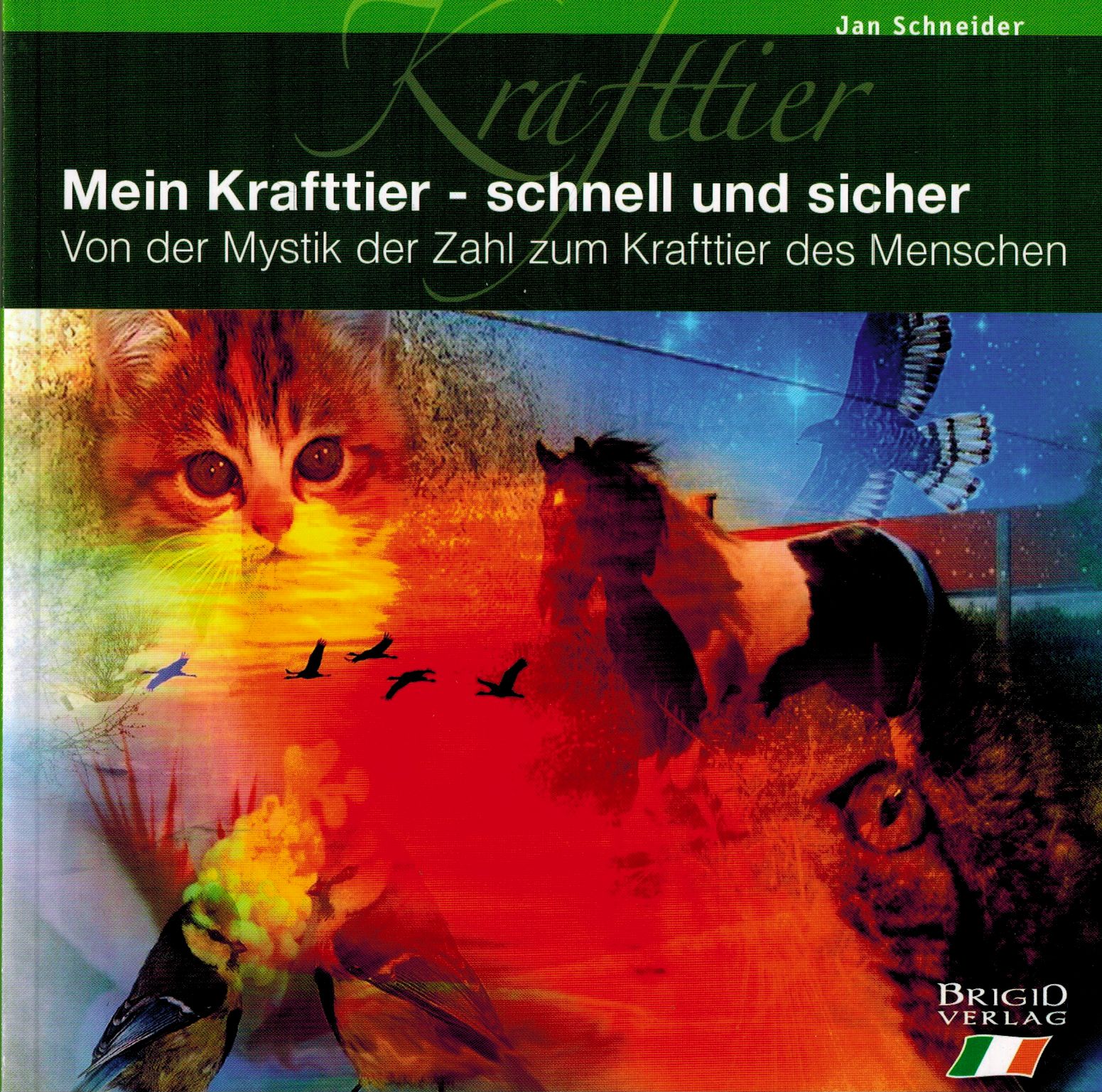 Bild von Schneider, Jan: Mein Krafttier - schnell und sicher