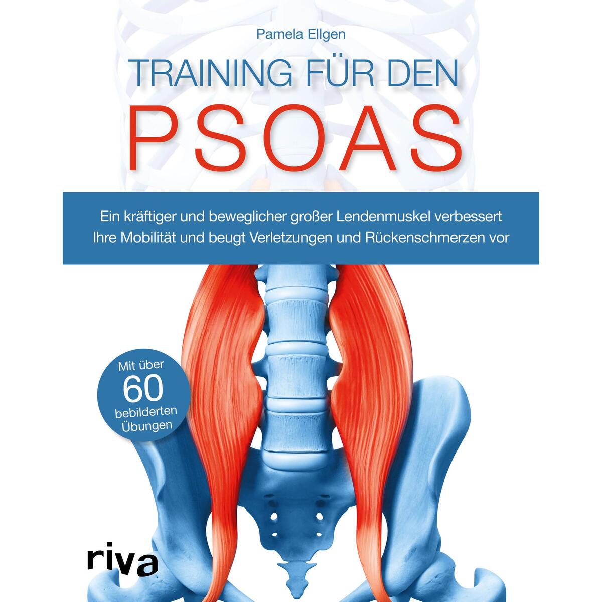 Bild von Training für den Psoas, Ratgeber von Pamela Ellgen