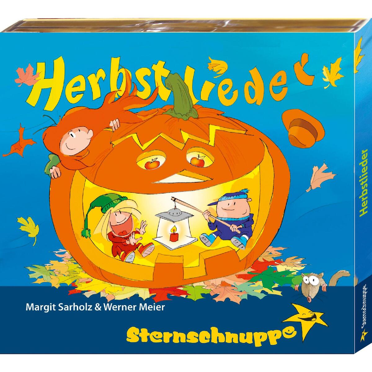 Bild von Herbstlieder: Von wehenden Hüten, Regen-Piraten und Gespenstern am Fenster