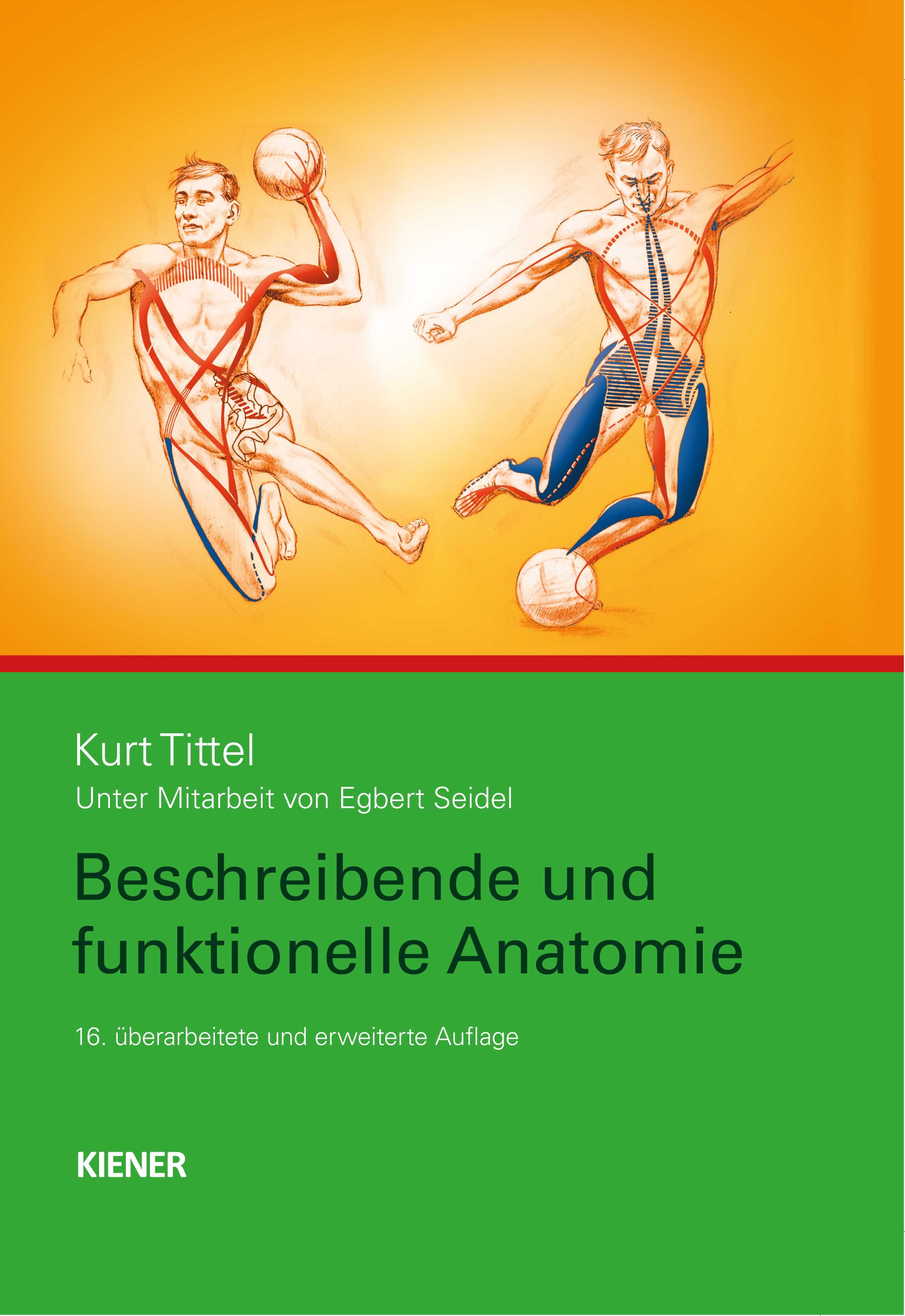 Bild von Tittel, Kurt: Beschreibende und funktionelle Anatomie