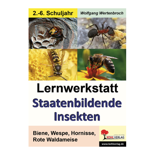 Bild von Lernwerkstatt Staatenbildende Insekten