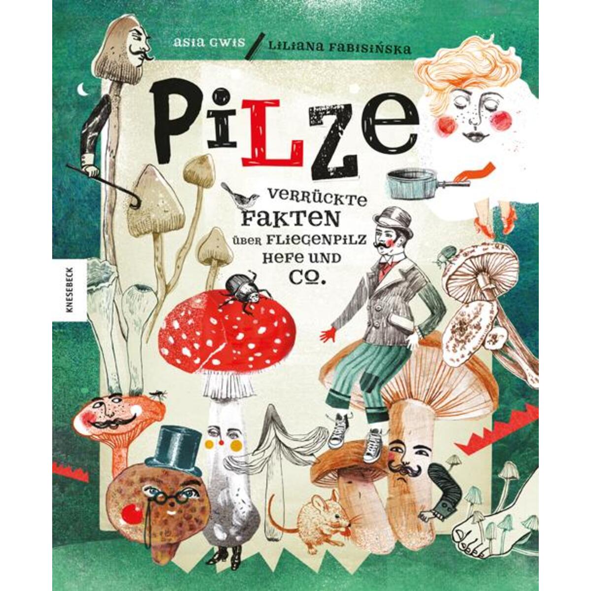 Bild von Pilze