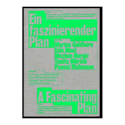 Bild von Ein faszinierender Plan von Marius Goldhorn, Enis Maci und Pascal Richmann