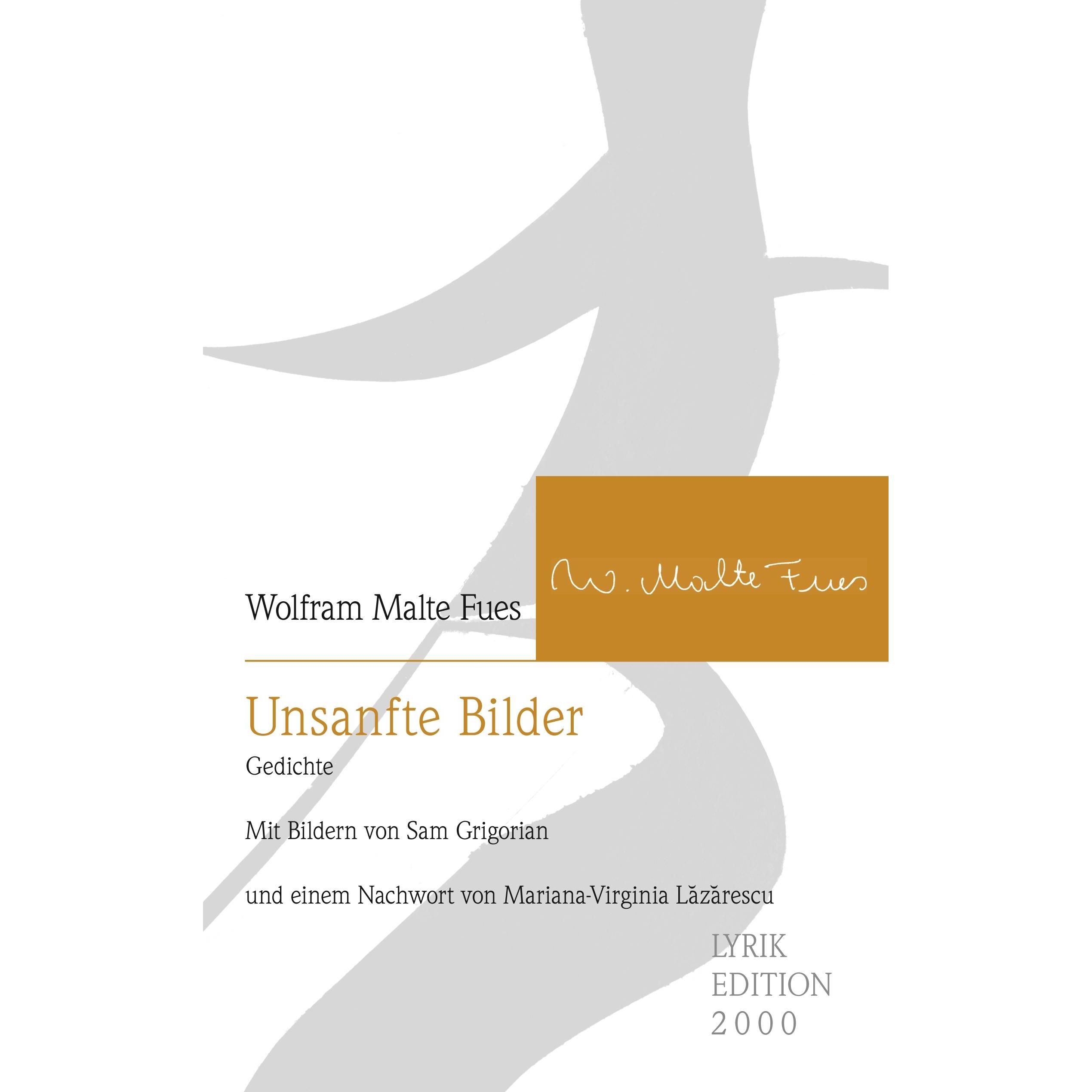 Bild von Unsanfte Bilder, Belletristik von Wolfram Malte Fues
