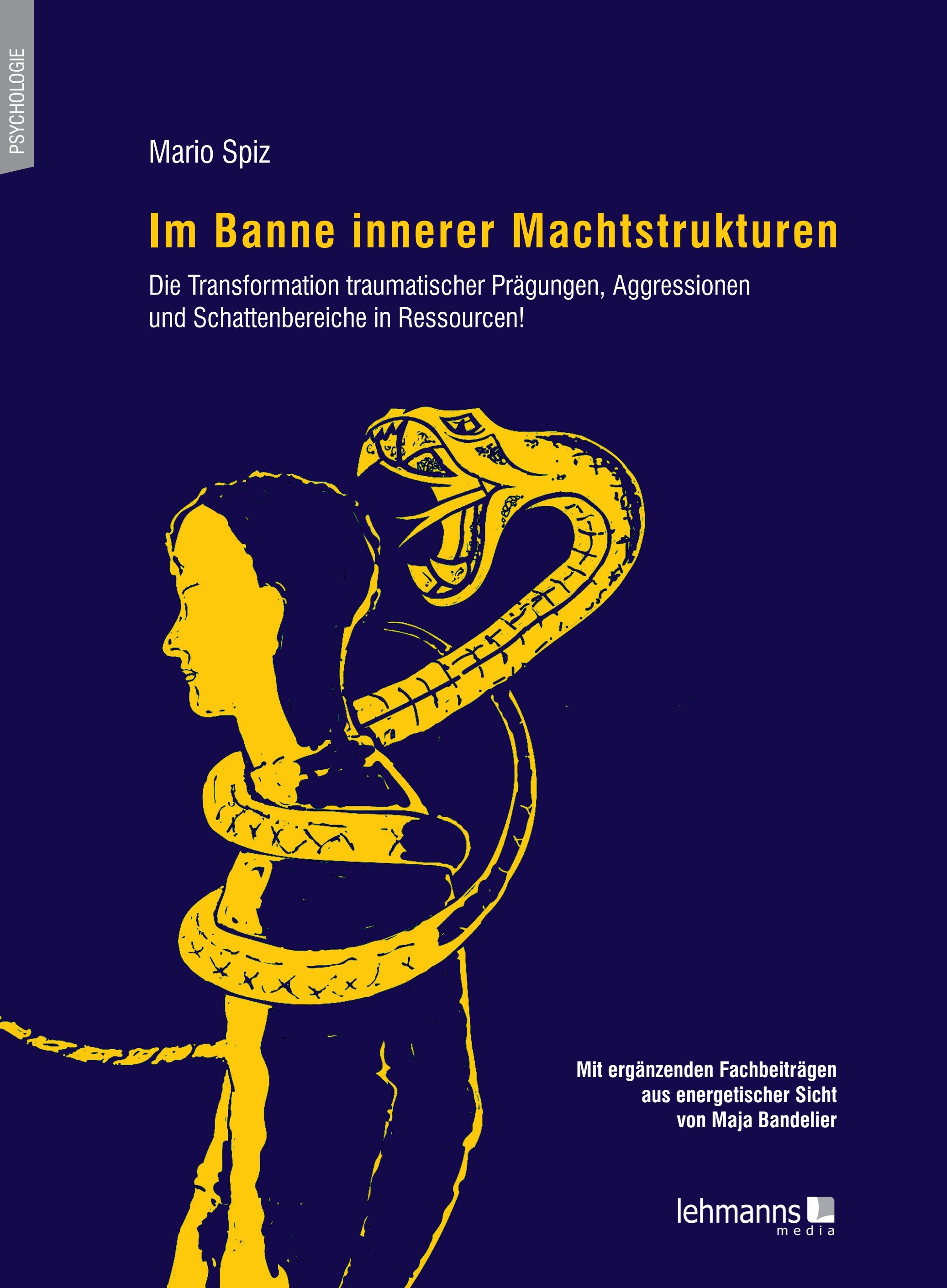Bild von Im Banne innerer Machtstrukturen, Fachbücher von Mario Spiz, Maja Bandelier