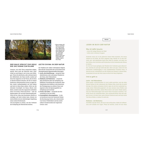Bild von Bäume für die Seele: Naturmeditationen für Ruhe und Heilung