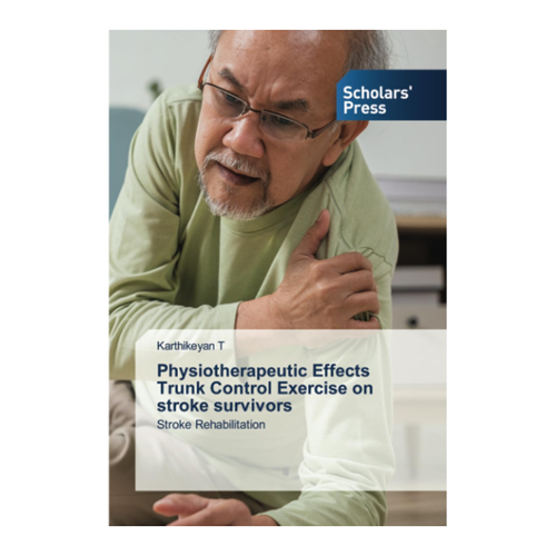 Bild von Physiotherapeutische Effekte von Trunk Control Übungen bei Schlaganfallüberlebenden