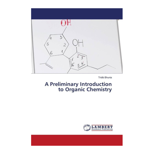 Bild von A Preliminary Introduction to Organic Chemistry