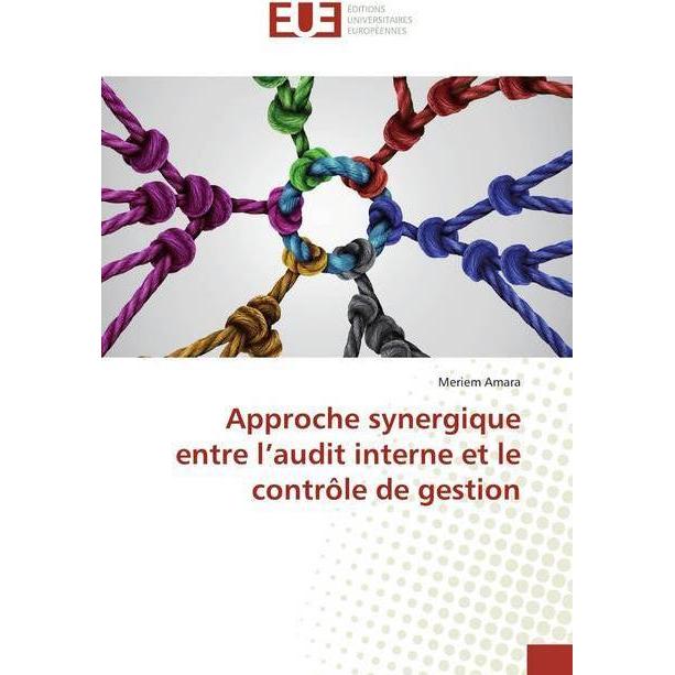 Bild von Approche synergique entre l'audit interne et le contrôle de gestion, Fachbücher von Meriem Amara