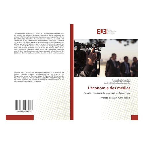 Bild von L'économie des médias: Une analyse des médias au Cameroun