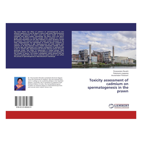 Bild von Toxicity Assessment of Cadmium on Spermatogenesis in the Prawn – Ein umfassender Überblick