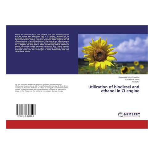 Bild von Nutzung von Biodiesel und Ethanol im CI-Motor