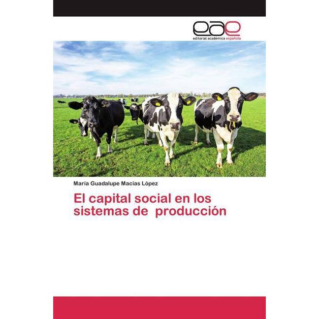 Bild von El capital social en los sistemas de producción, Fachbücher von María Guadalupe Macías López