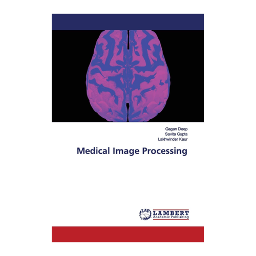 Bild von Medical Image Processing von Gagan Deep – Ein unverzichtbarer Leitfaden