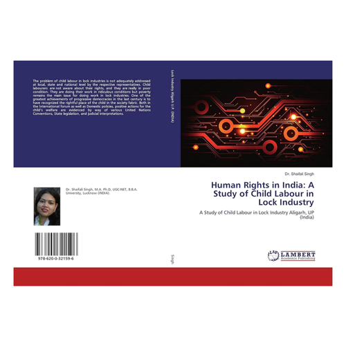 Bild von Human Rights in India: A Study of Child Labour in Lock Industry