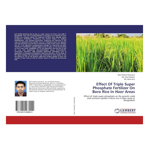 Bild von Effect Of Triple Super Phosphate Fertilizer On Boro Rice In Haor Areas