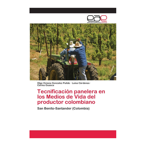 Bild von Tecnificación panelera en los Medios de Vida des Produzenten Kolumbianer