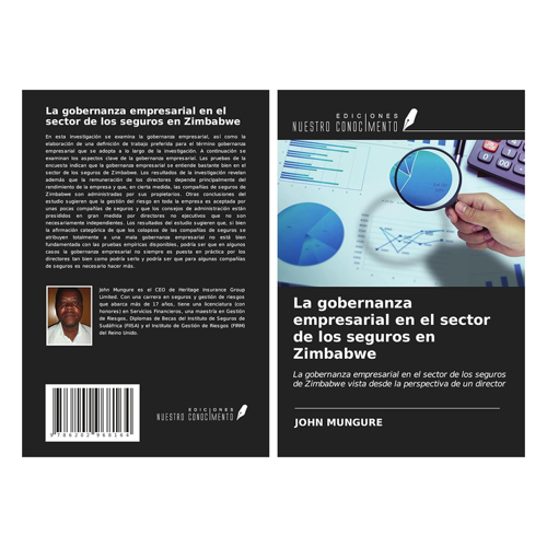 Bild von La gobernanza empresarial en el sector de los seguros en Zimbabwe