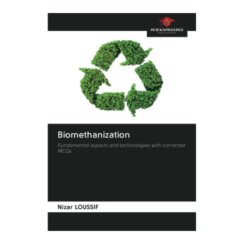 Bild von Biomethanization: Fundamental aspects and technologies with corrected MCQs