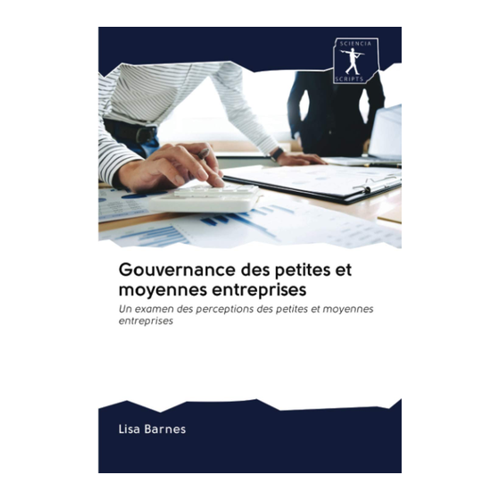Bild von Gouvernance des petites et moyennes entreprises: Un examen des perceptions