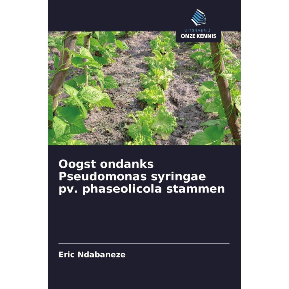 Bild von Ndabaneze, Eric: Oogst ondanks Pseudomonas syringae pv. phaseolicola stammen