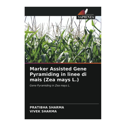 Bild von Marker Assisted Gene Pyramiding in linee di mais (Zea mays L.) - Ein umfassender Überblick
