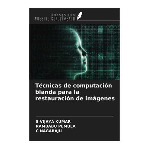 Bild von Técnicas de computación blanda para die Restaurierung von Bildern - Ein umfassender Überblick