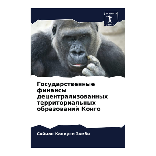 Bild von Kanduki Zambi: Gosudarstwennye finansy decentralizowannyh territorial'nyh obrazowanij Kongo