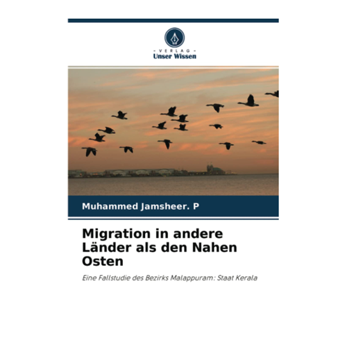 Bild von Migration in andere Länder als den Nahen Osten - Eine Fallstudie