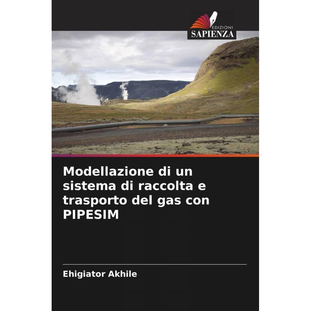 Bild von Akhile, Ehigiator: Modellazione di un sistema di raccolta e trasporto del gas con PIPESIM