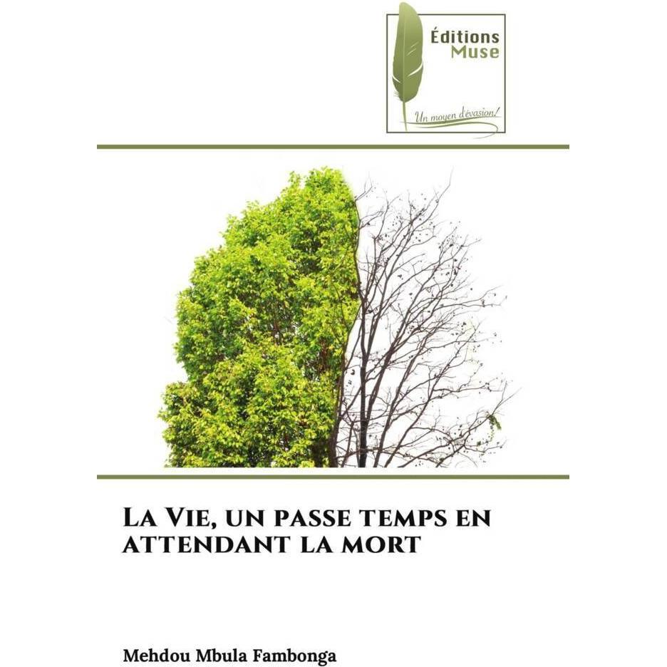 Bild von Mbula Fambonga, Mehdou: La Vie, un passe temps en attendant la mort