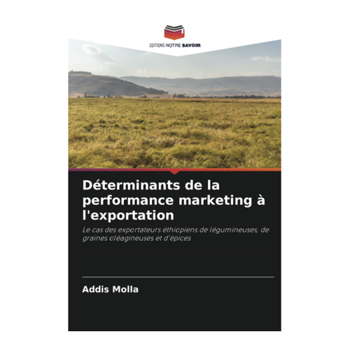 Bild von Déterminants de la performance marketing à l'exportation: Ein umfassender Leitfaden